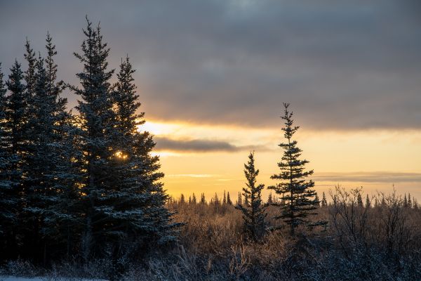 Lessons from Canada’s Wildfires: Resilience and Interconnection